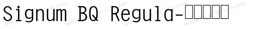 Signum BQ Regula字体转换